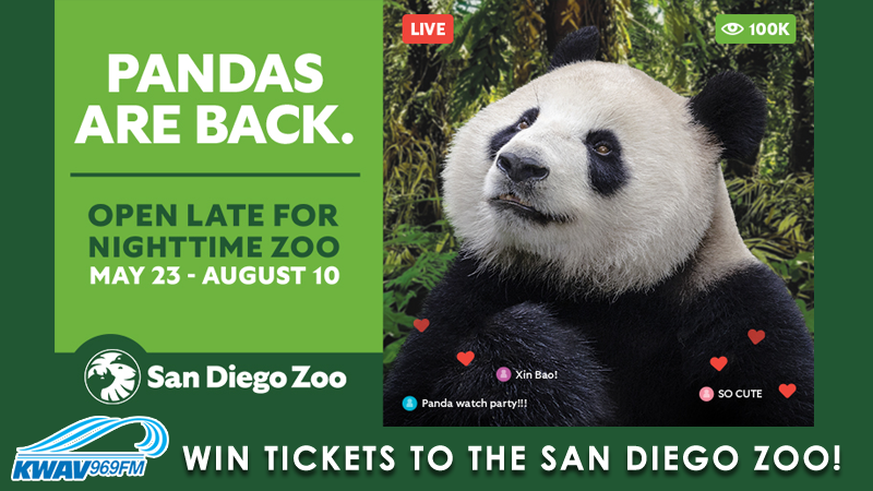 Win A Family 4 Pack To The San Diego Zoo
